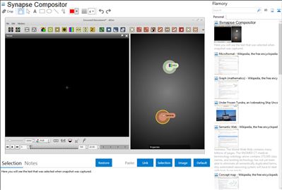 Synapse Compositor - Flamory bookmarks and screenshots