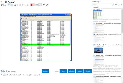 TCPView - Flamory bookmarks and screenshots