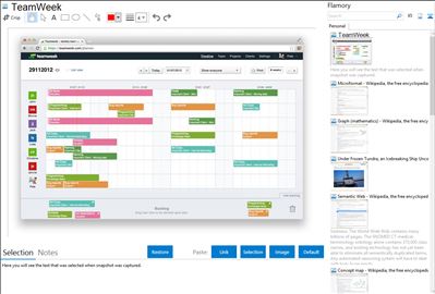 TeamWeek - Flamory bookmarks and screenshots