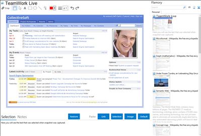 TeamWork Live - Flamory bookmarks and screenshots