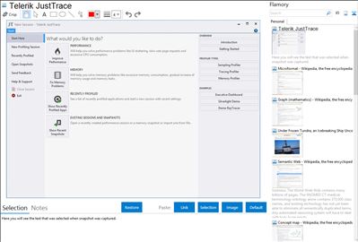 Telerik JustTrace - Flamory bookmarks and screenshots