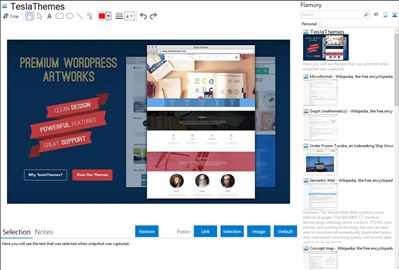 TeslaThemes - Flamory bookmarks and screenshots