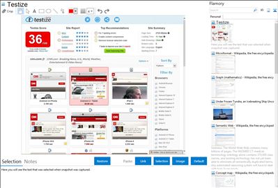 Testize - Flamory bookmarks and screenshots