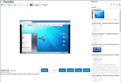 ThinVNC - Flamory bookmarks and screenshots