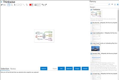 Thinkwise - Flamory bookmarks and screenshots