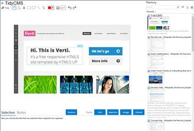 TidyCMS - Flamory bookmarks and screenshots