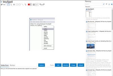 tinySpell - Flamory bookmarks and screenshots