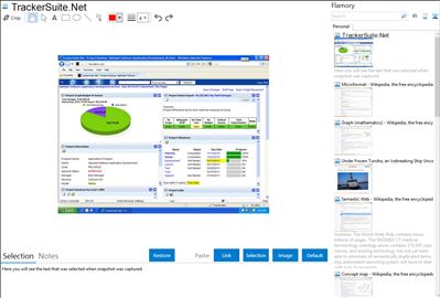 TrackerSuite.Net - Flamory bookmarks and screenshots
