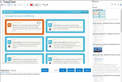 TrackTest - Flamory bookmarks and screenshots