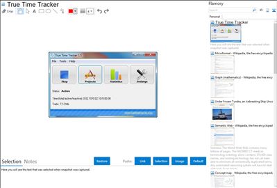 True Time Tracker - Flamory bookmarks and screenshots