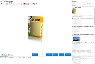 TubeDigger - Flamory bookmarks and screenshots