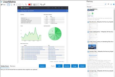 UserMetrix - Flamory bookmarks and screenshots