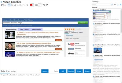 Video Grabber - Flamory bookmarks and screenshots