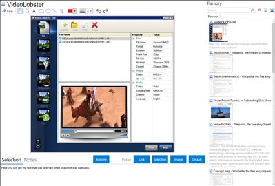 VideoLobster - Flamory bookmarks and screenshots