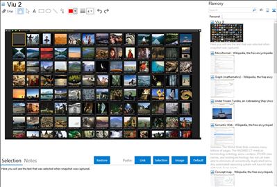 Viu 2 - Flamory bookmarks and screenshots