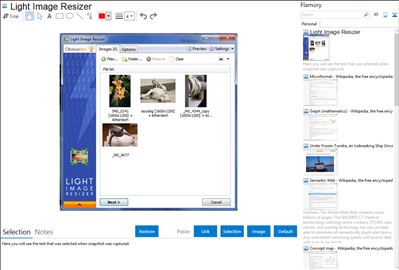 Light Image Resizer - Flamory bookmarks and screenshots