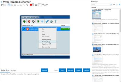 Web Stream Recorder - Flamory bookmarks and screenshots