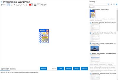 Wellnomics WorkPace - Flamory bookmarks and screenshots