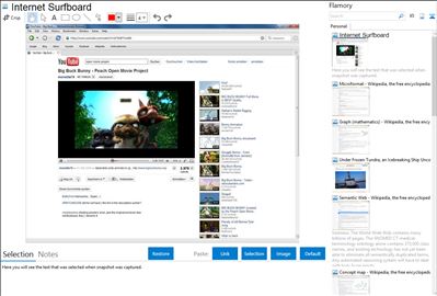 Internet Surfboard - Flamory bookmarks and screenshots