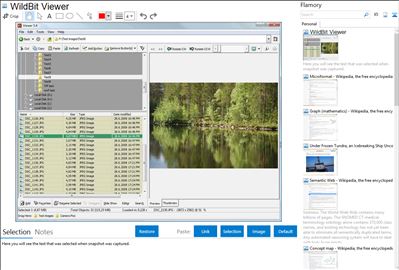 WildBit Viewer - Flamory bookmarks and screenshots