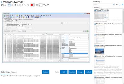 WinAPIOverride - Flamory bookmarks and screenshots