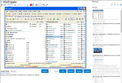 WinFrigate - Flamory bookmarks and screenshots
