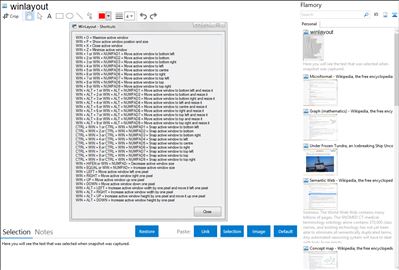 winlayout - Flamory bookmarks and screenshots