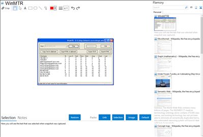 WinMTR - Flamory bookmarks and screenshots