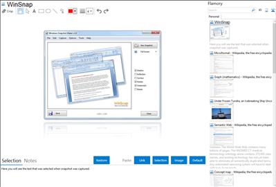 WinSnap - Flamory bookmarks and screenshots