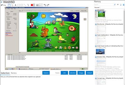 WinWSD - Flamory bookmarks and screenshots