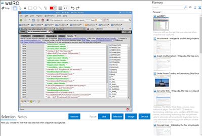 wsIRC - Flamory bookmarks and screenshots