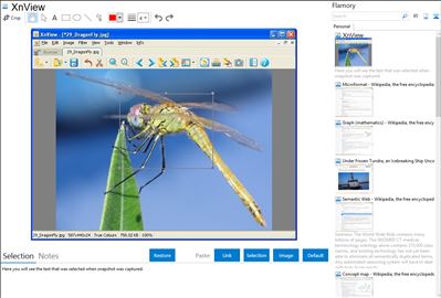 XnView - Flamory bookmarks and screenshots